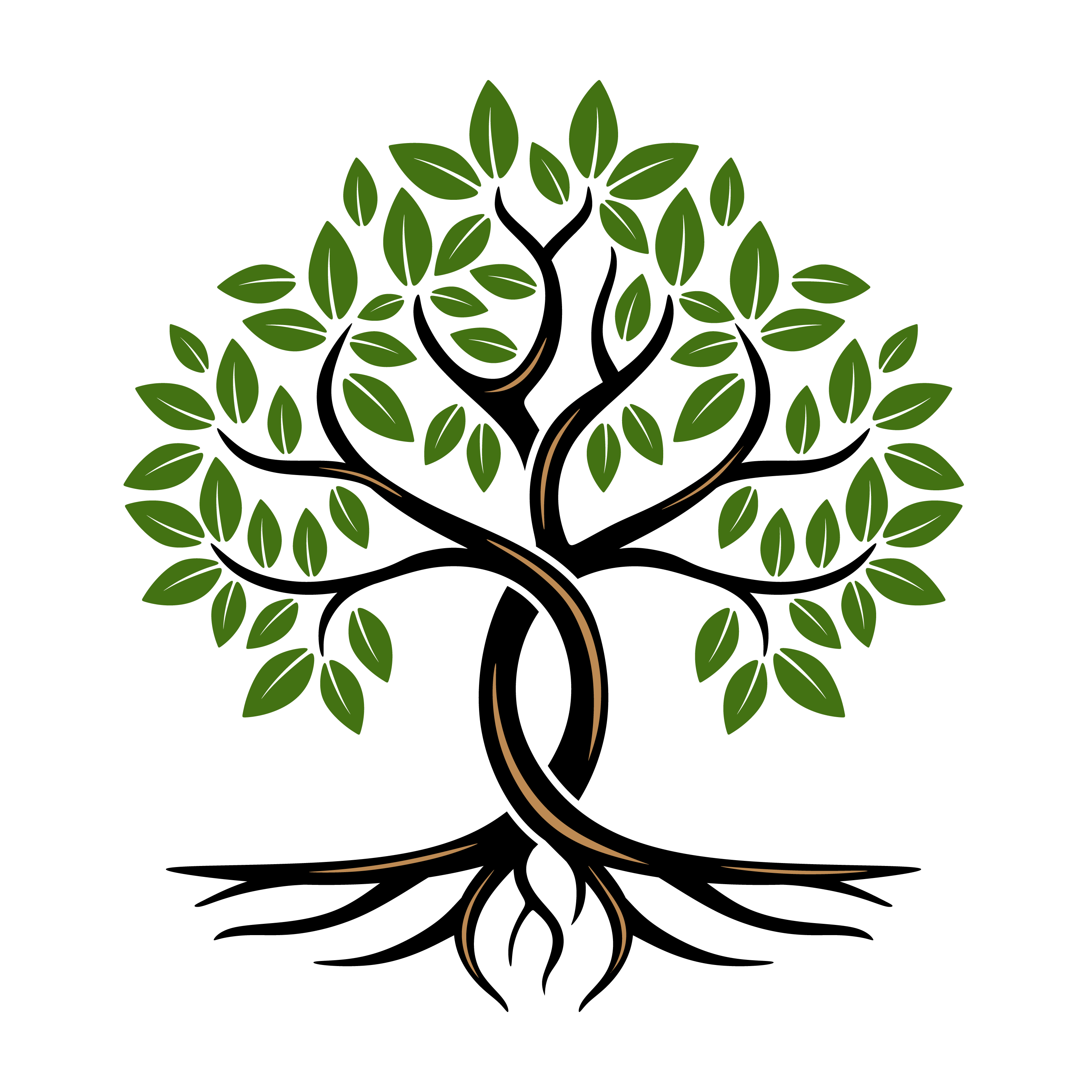 Karlsviks Koloniträdgård