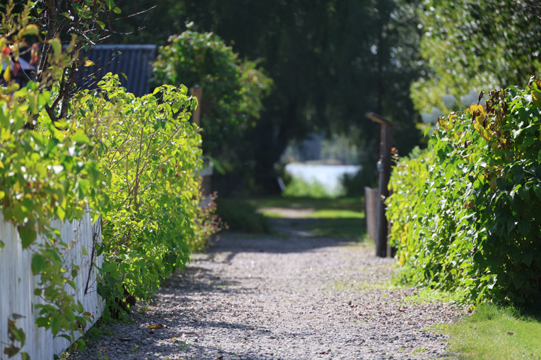 Bild på en grusgång i Karlsvik